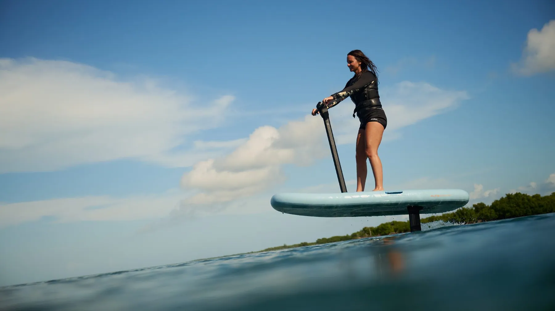 Fliteboard